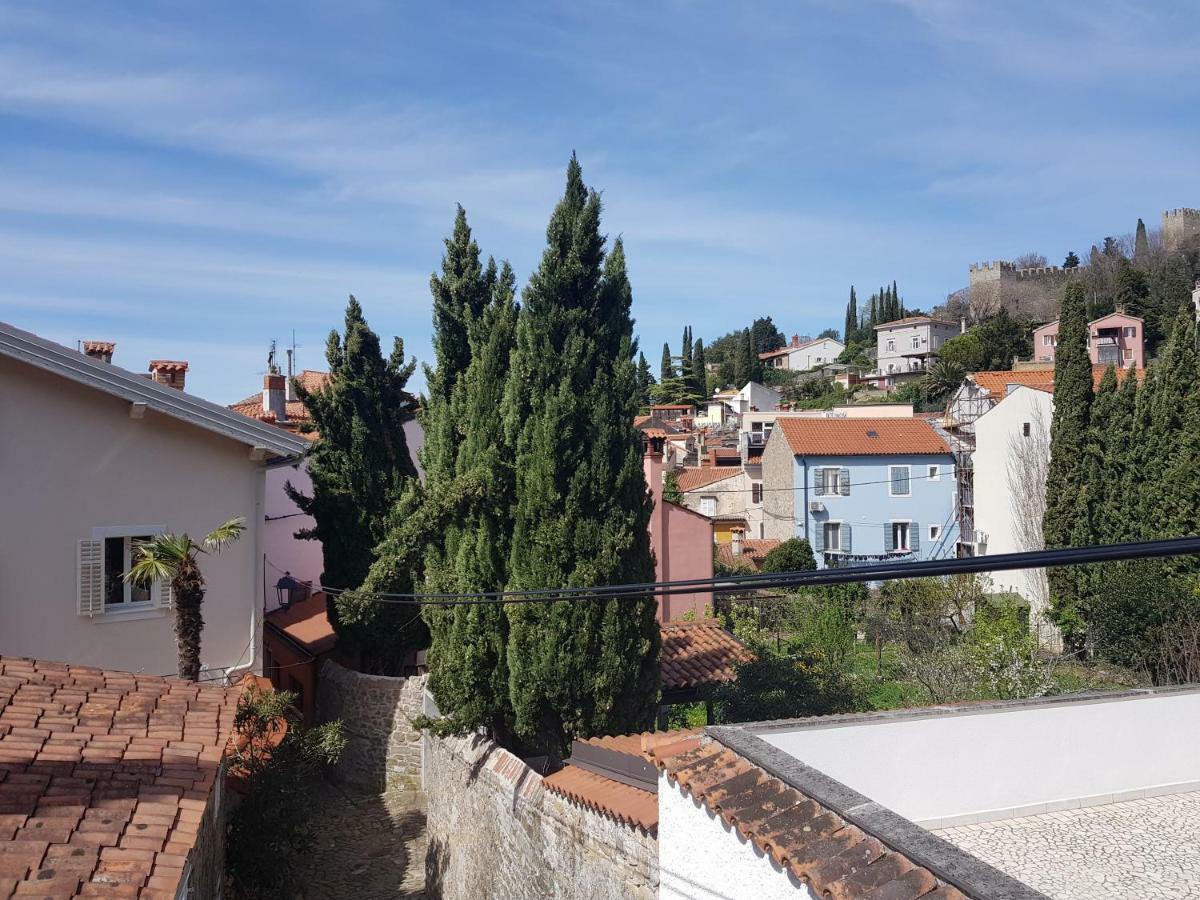 Secret Garden Of Piran Daire Dış mekan fotoğraf